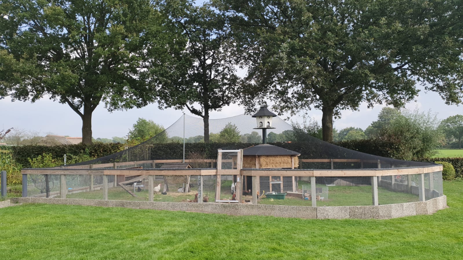 PE Volièrenet + rand (Maaswijdte 26x26mm) - foto's 2