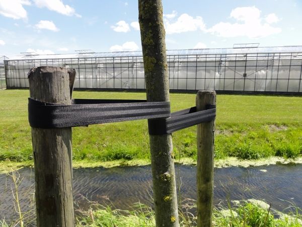 Autogordel of boomband - foto's 2